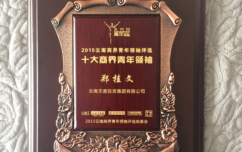 在“互聯(lián)網(wǎng)大時(shí)代”的背景下，天度作為本土很大和很有名的互聯(lián)網(wǎng)服務(wù)企業(yè)，為近萬(wàn)家傳統企業(yè)轉型互聯(lián)網(wǎng)+提供了服務(wù)和幫助，獲此獎項后，我們將再接再厲，創(chuàng  )造更高的社會(huì )價(jià)值